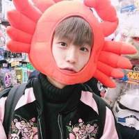 小清新情侣头像精选大合辑