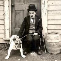 万圣节小丑头像2014 恐怖另类的小丑头像