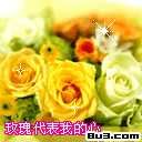 情人节漂亮花微信表情(2)