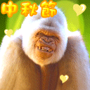 2015中秋节微信表情 中秋节可爱微信表情