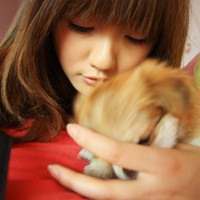 2015年情人节情侣微信头像 注定不会去寻找幸福