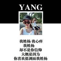 个性姓氏头像大全2015 我姓雷却不愿成为你的累赘