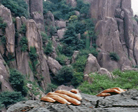 可爱卡通大兵打招呼方式 见到首长敬礼