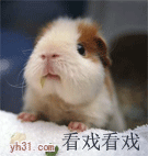 常用的微信聊天搞笑表情 别停继续吹