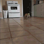 2015专用泡妞表情包 你是否单身呢