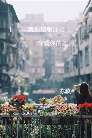 微信聊天背景美女头像 你将底子做足的妖娆