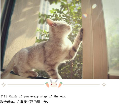 微信唯美语录朋友圈配图图片