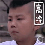 爸爸去哪儿康康表情包 霸道总裁康少动态表情