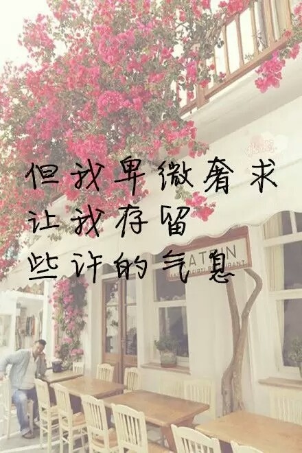 原谅捧花的我盛装出席却只为献礼