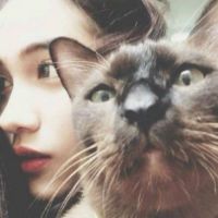 异地恋的情侣微信头像00后专属 若是对的人就不该湿了眼