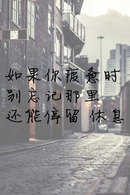 原谅捧花的我盛装出席却只为献礼