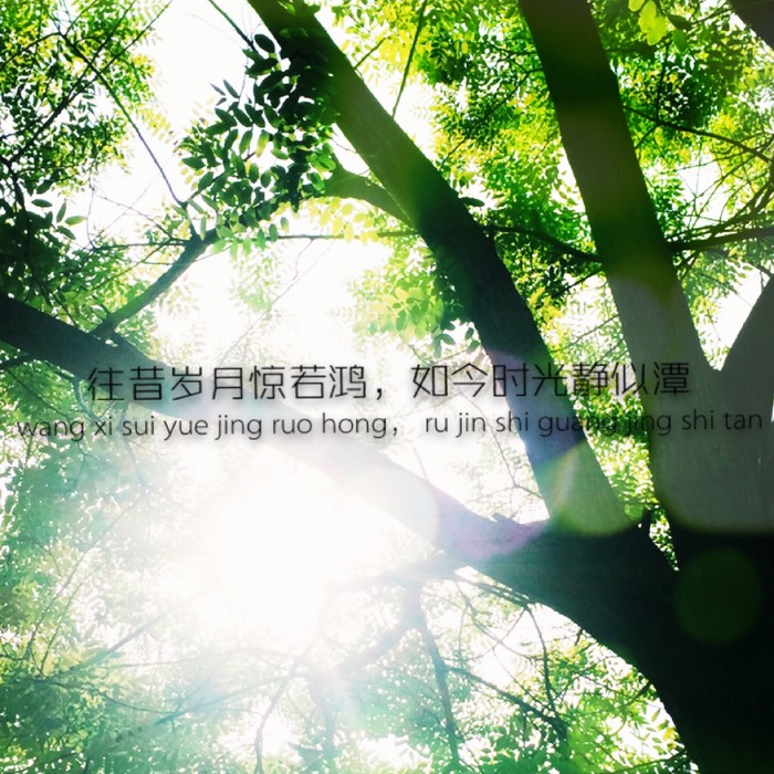 清新图片微信lomo阳光带字治愈系美图美文