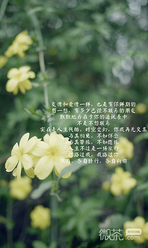 时间怂恿深爱的人放手