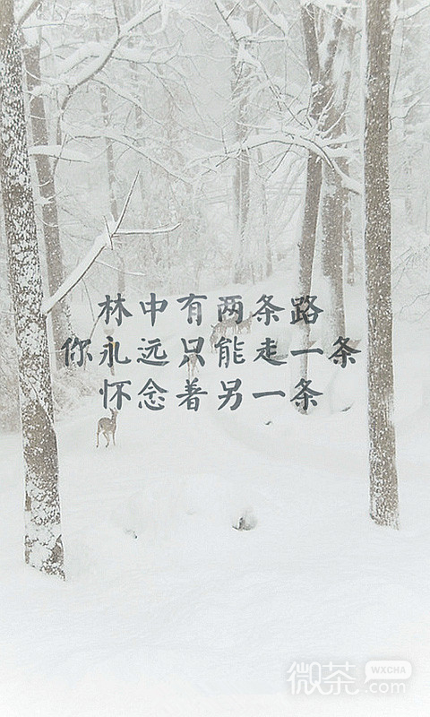 时间怂恿深爱的人放手