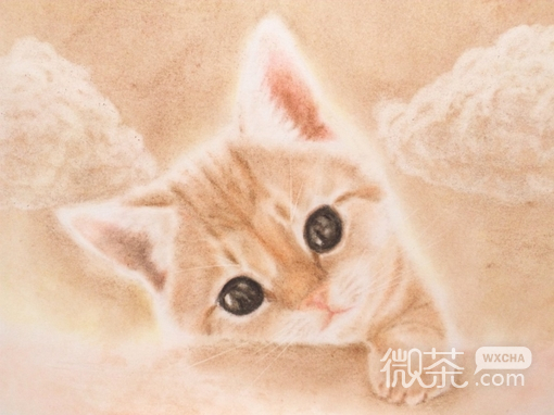 可爱的手绘卡通猫咪微信插画美图