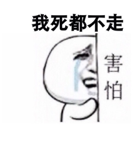 最近很火的表情包 “你走！“我不走！“你走不走！