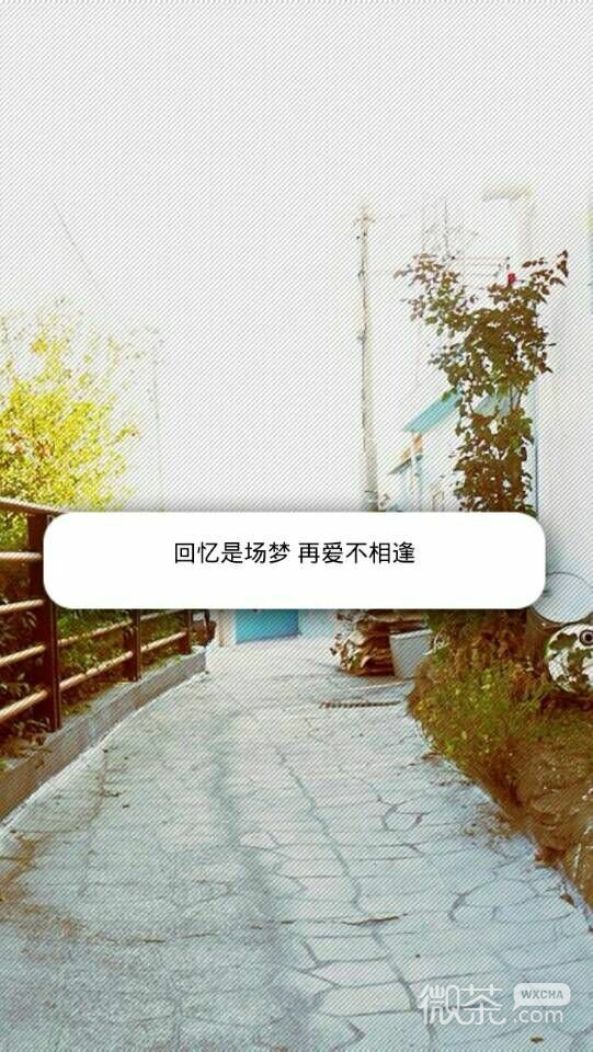 小清新 感谢你送我一场空欢喜