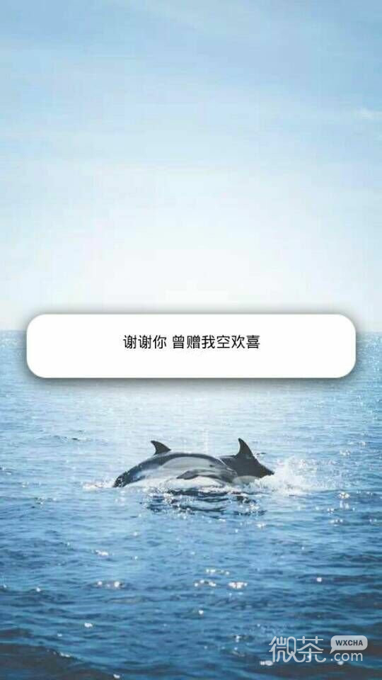 小清新 感谢你送我一场空欢喜