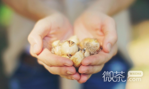捧在手心的微信小清新