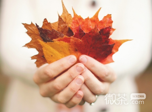 捧在手心的微信小清新