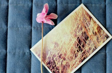 舍不得又怎样  最后还不都是一空的