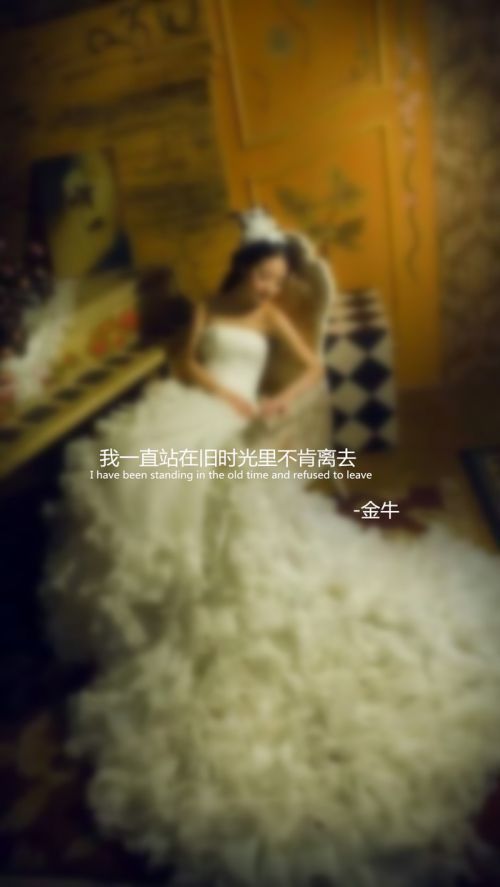 十二星座婚纱系语
