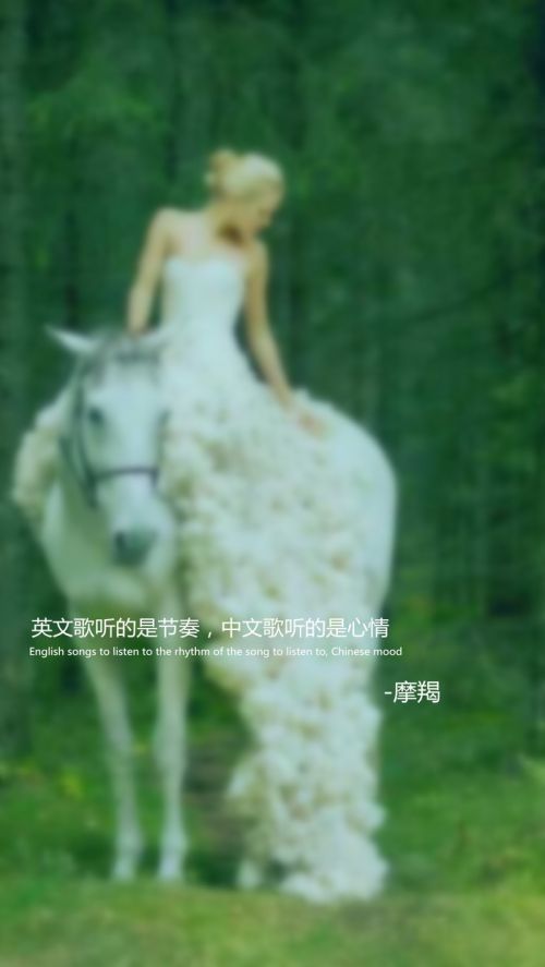 十二星座婚纱系语