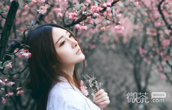 樱花少女唯美微信图片
