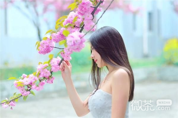 相信这个世界永远那么美。