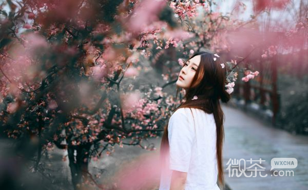 樱花少女唯美微信图片