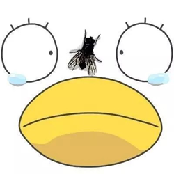 逼死强迫症系列头像 让强迫症抓狂的贴吧头像带苍蝇