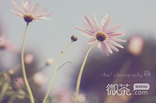 美好时光