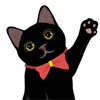 甜蜜猫动态表情包精选 2016甜蜜猫微信表情gif