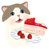 甜蜜猫动态表情包精选 2016甜蜜猫微信表情gif