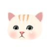 甜蜜猫动态表情包精选 2016甜蜜猫微信表情gif