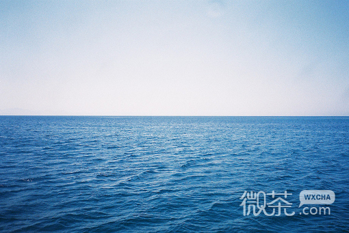 我是你的过客 你却是我的定格