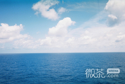 我是你的过客 你却是我的定格