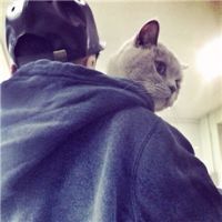 圣诞节你们快乐吗 有点忧郁的男生微信头像设计