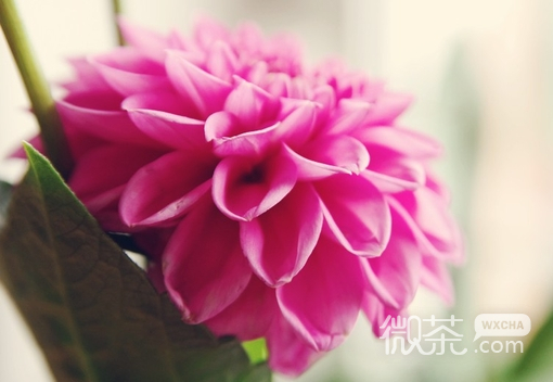 小清新意境伤感风景个性清新微信图片