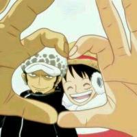 海贼王头像图片高清晰大全2016 你更喜欢哪个海贼王cp