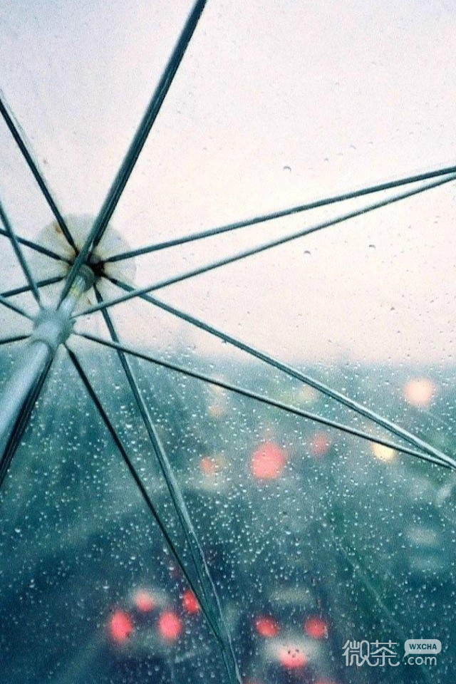 微信伤感lomo小清新雨中美景意境图片