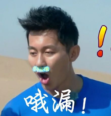李晨表情包带字 恶搞李晨微信表情