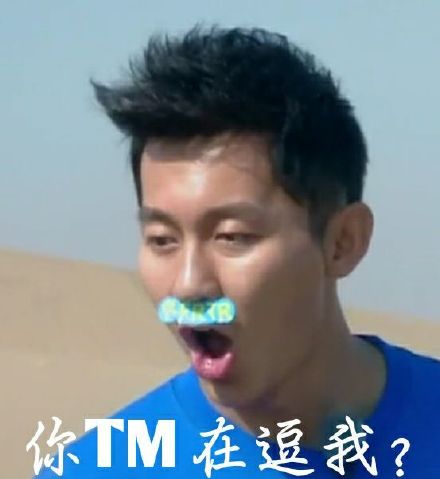 李晨表情包带字 恶搞李晨微信表情