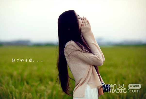 韶光下的美好