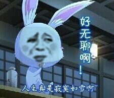 好无聊表情包 恶搞兔无聊表情图片