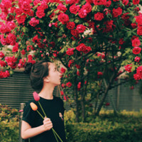 微信头像女生唯美侧面带花最新版 话一旦说多就变得肤浅