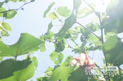 岁月是场有去无回的旅行