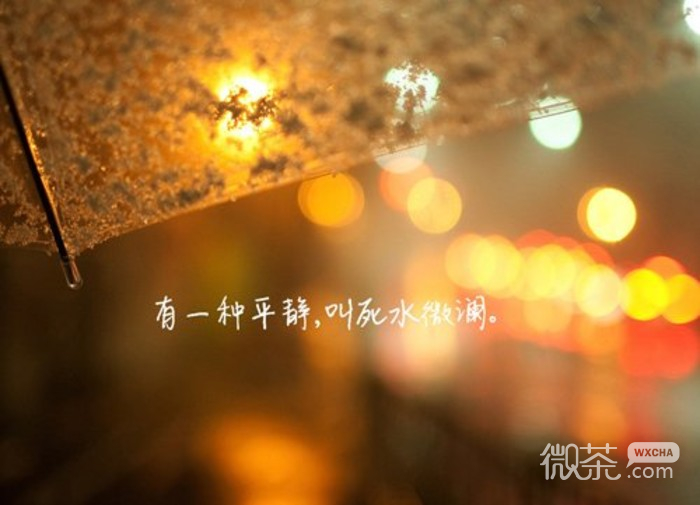 思念太猖狂 可你不在我身旁