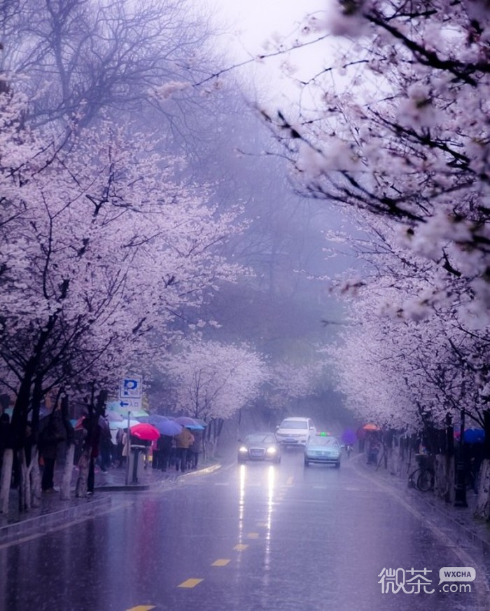 你是我遇过最美的风景