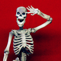 男女通用搞笑另类头像 年纪轻轻要是没你哪来那么多伤